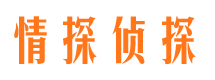 中沙侦探公司